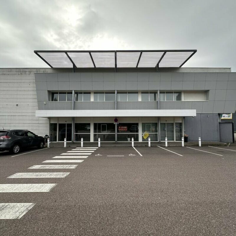 Location - 1113 m² - OTTERSWILLER - 1