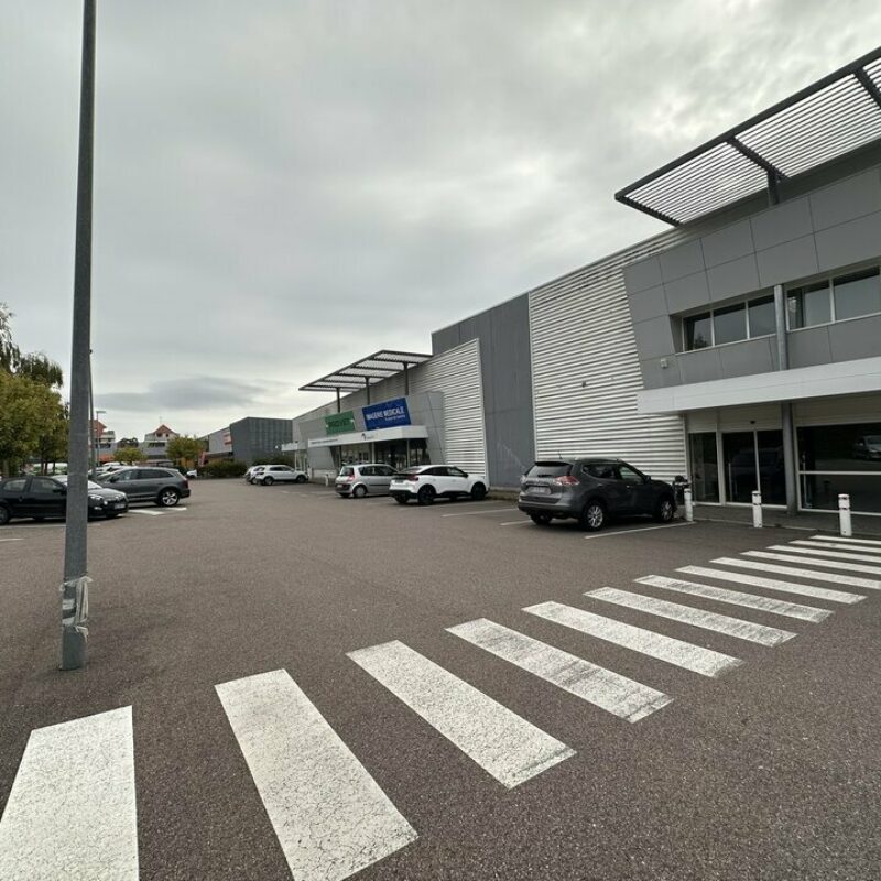 Location - 1113 m² - OTTERSWILLER - 2