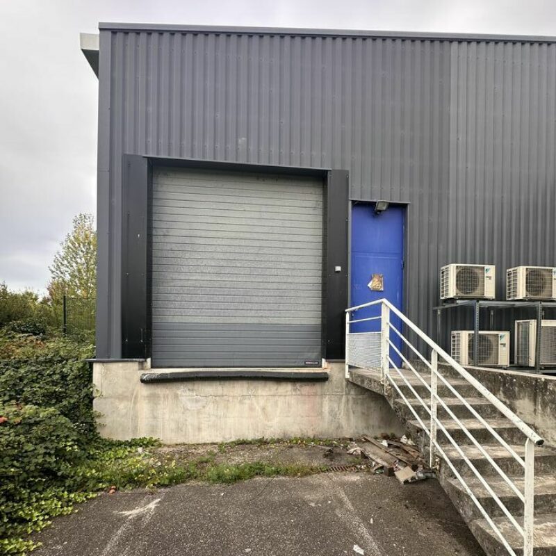 Location - 1113 m² - OTTERSWILLER - 3