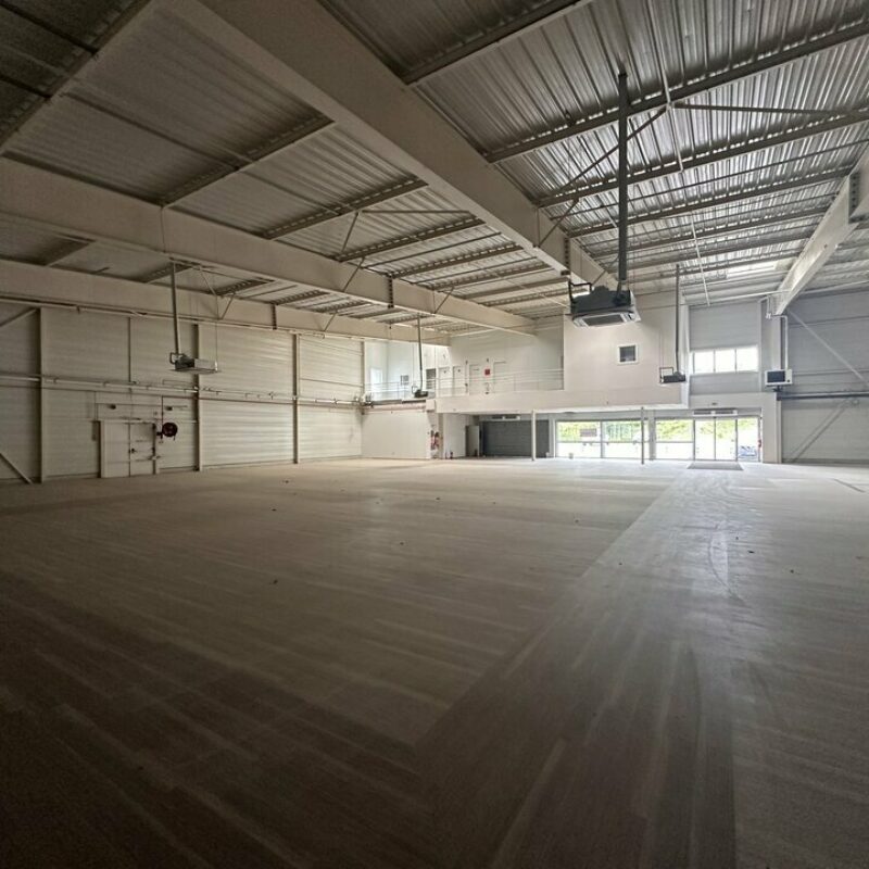 Location - 1113 m² - OTTERSWILLER - 4