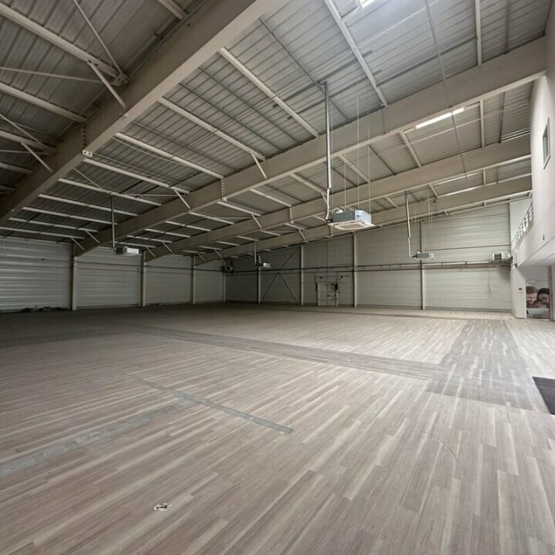 Location - 1113 m² - OTTERSWILLER - 5