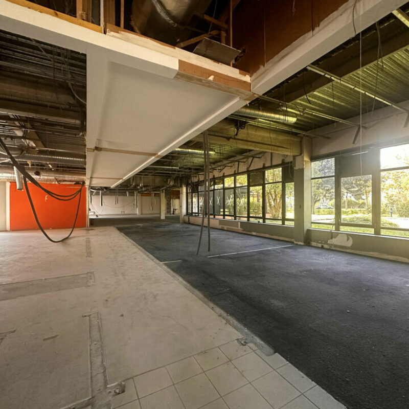 Location - 1280.9 m² - LINGOLSHEIM - 4