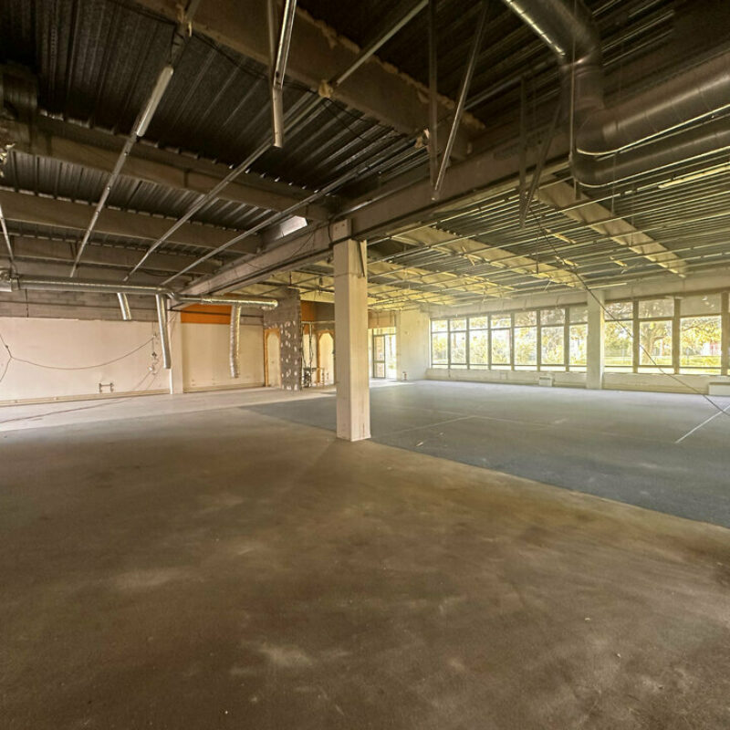 Location - 1280.9 m² - LINGOLSHEIM - 2