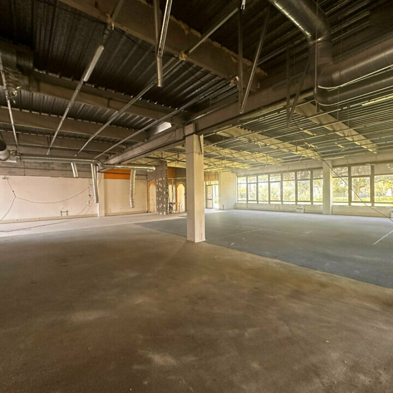 Location - 1280.9 m² - LINGOLSHEIM - 3