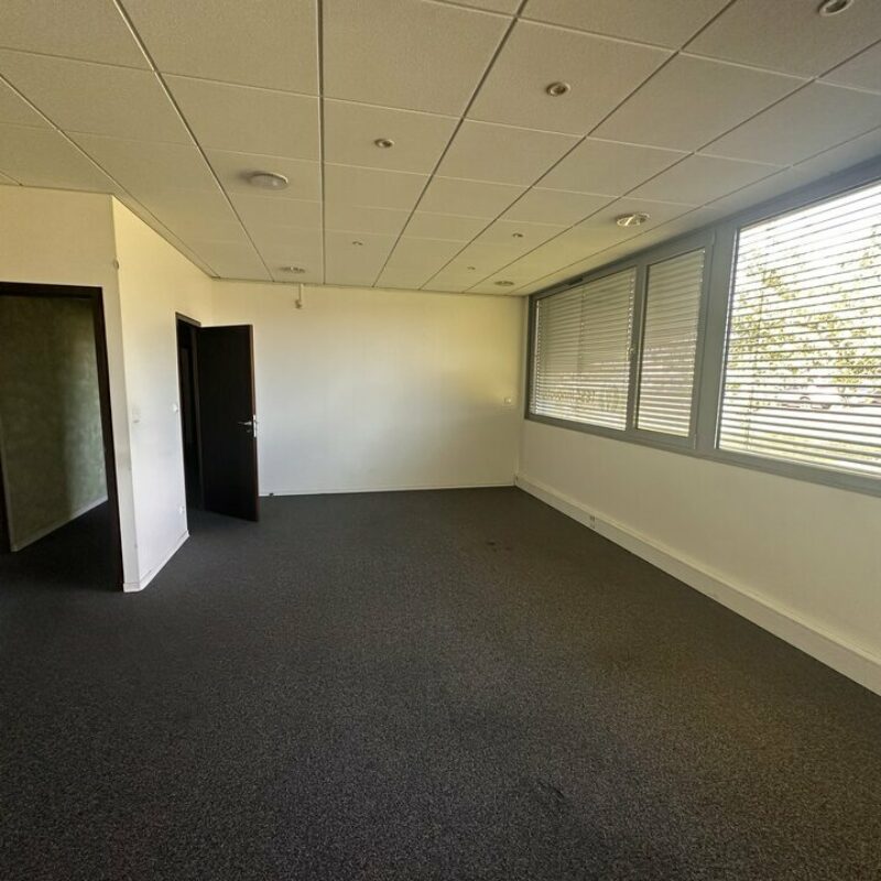 Location - 153 m² - BRUMATH - 1