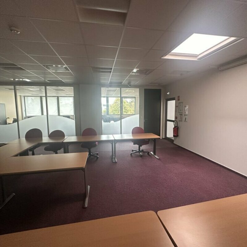 Location - 620 m² - SCHILTIGHEIM - 3