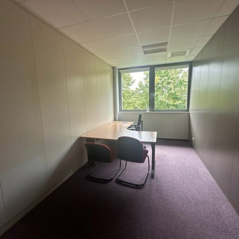 Location - 620 m² - SCHILTIGHEIM - 2