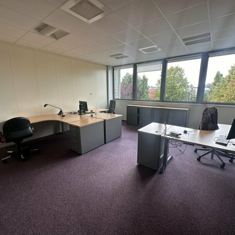 Location - 620 m² - SCHILTIGHEIM - 1