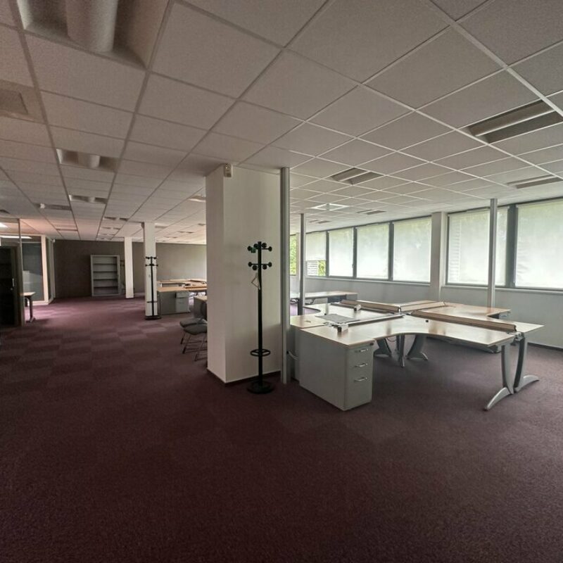 Location - 620 m² - SCHILTIGHEIM - 4