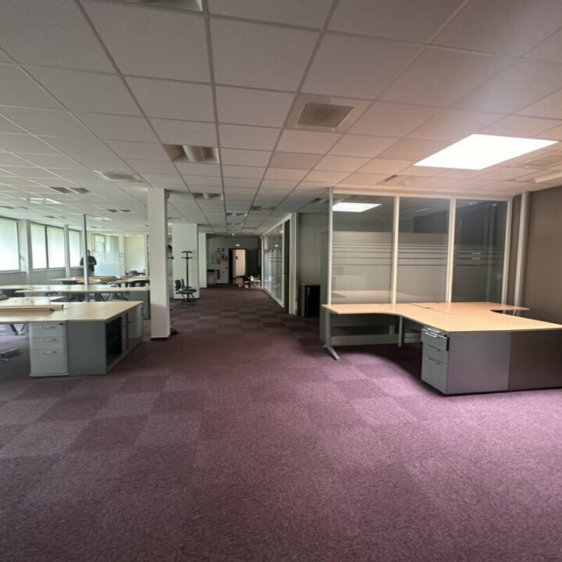 Location - 620 m² - SCHILTIGHEIM - 5