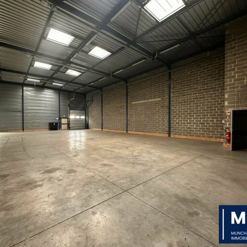 Location - 855 m² - NIEDERHAUSBERGEN - 1