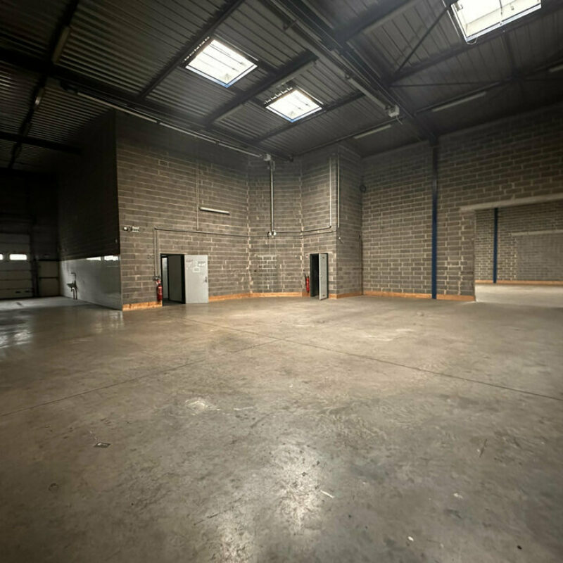 Location - 855 m² - NIEDERHAUSBERGEN - 3