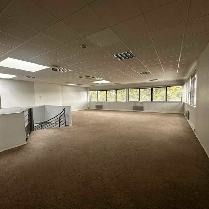 Location - 855 m² - NIEDERHAUSBERGEN - 4