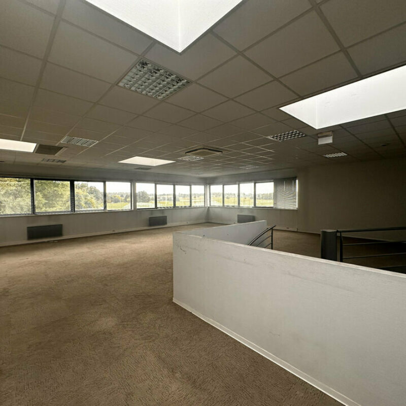 Location - 855 m² - NIEDERHAUSBERGEN - 5