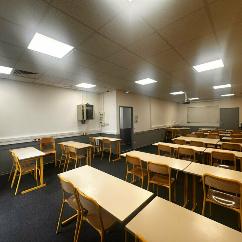 Location - 350 m² - STRASBOURG - 2