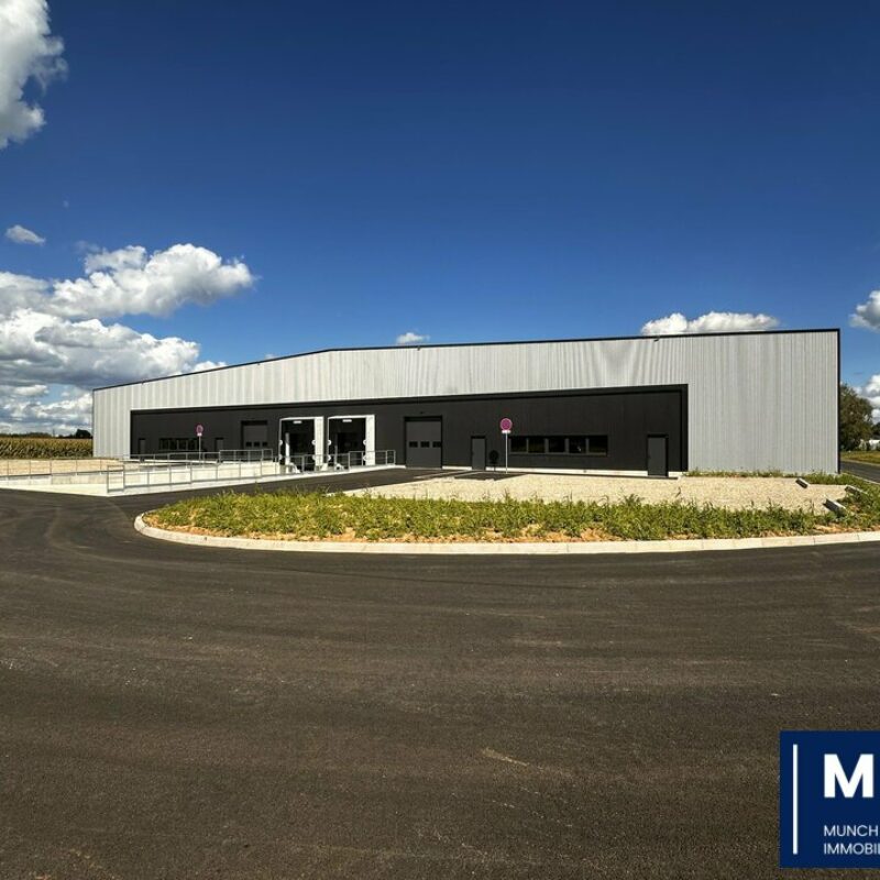 Vente - 7749.2 m² - FEGERSHEIM - 1