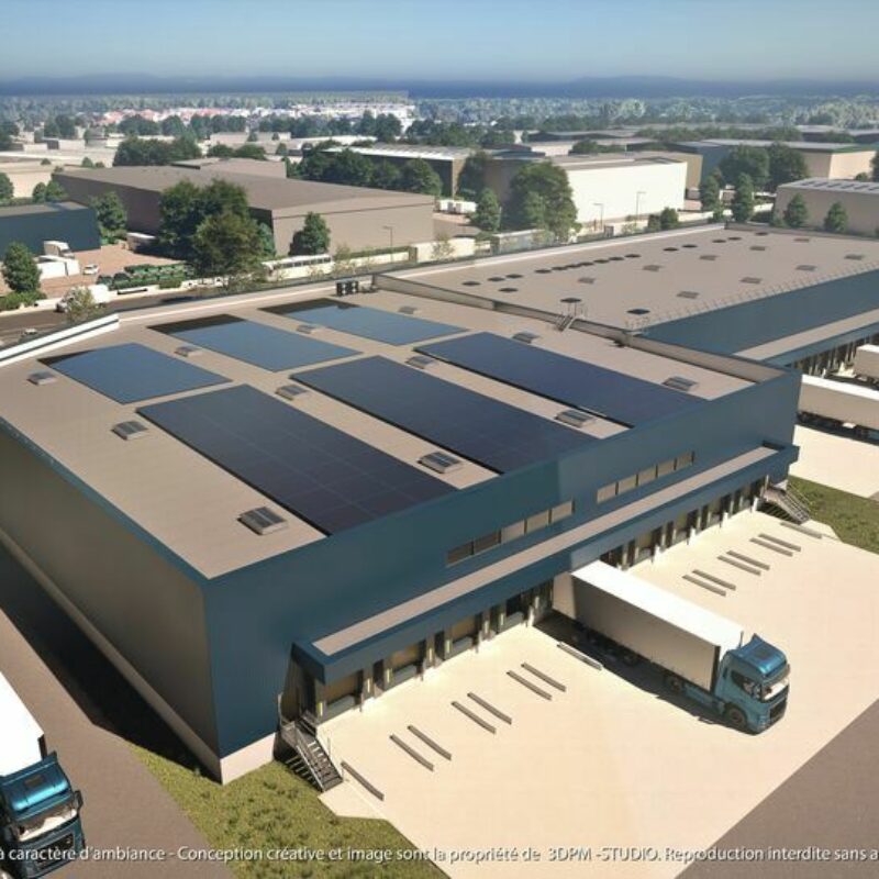 Location - 5570 m² - ILLKIRCH GRAFFENSTADEN - 2