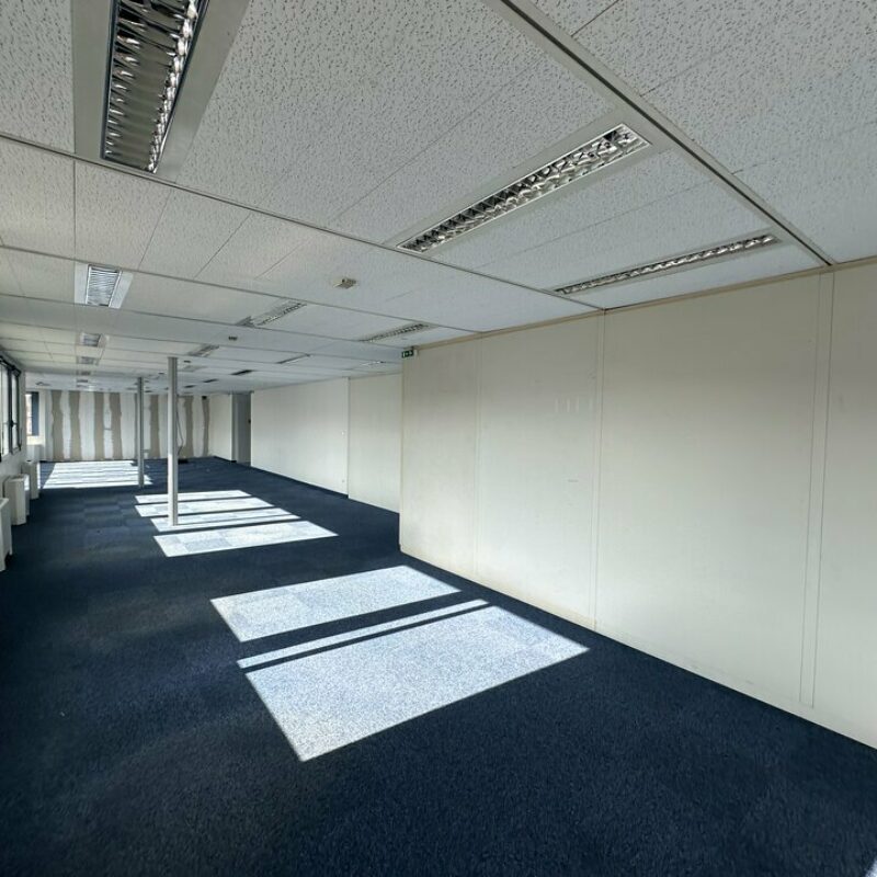 Location - 357 m² - STRASBOURG - 2