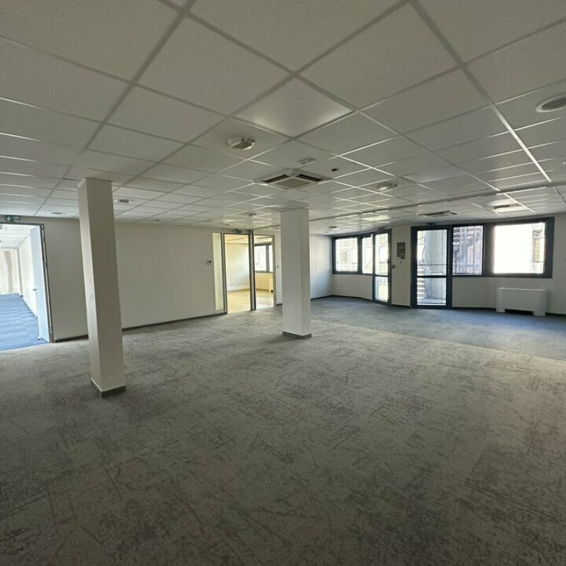 Location - 357 m² - STRASBOURG - 3