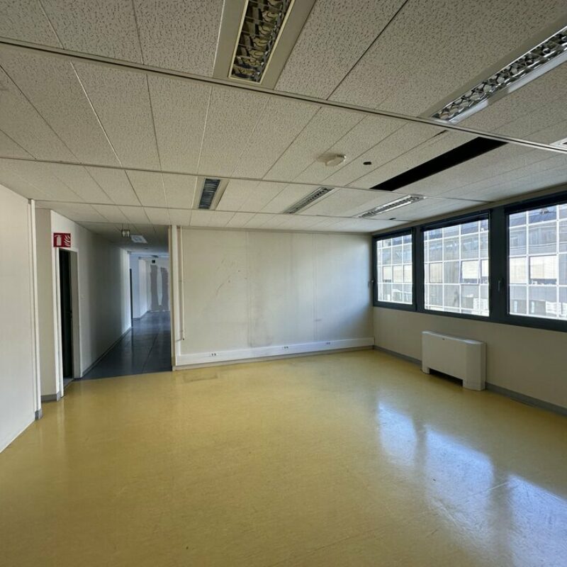 Location - 357 m² - STRASBOURG - 4