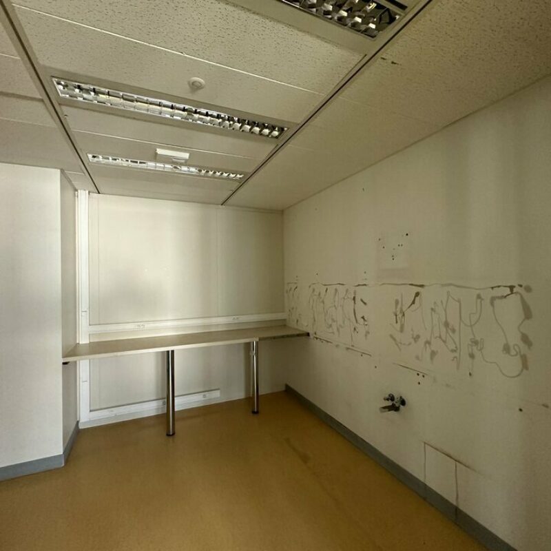 Location - 357 m² - STRASBOURG - 5