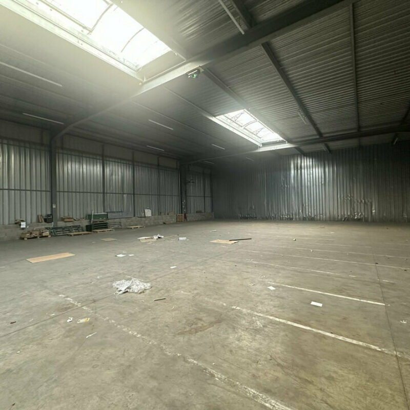 Location - 602.84 m² - STRASBOURG - 3