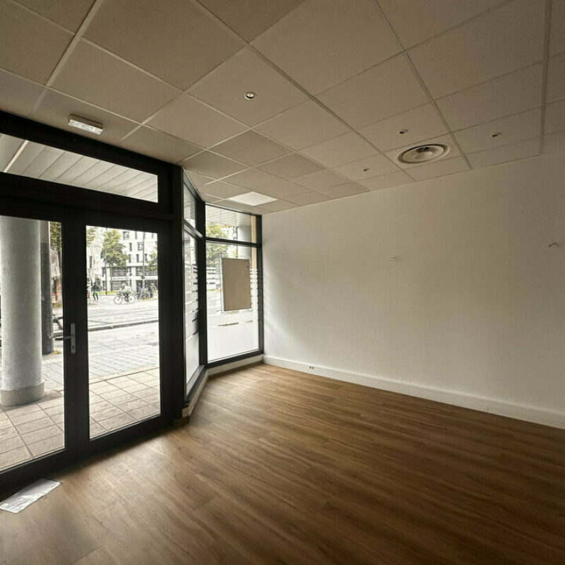 Location - 226 m² - STRASBOURG - 3
