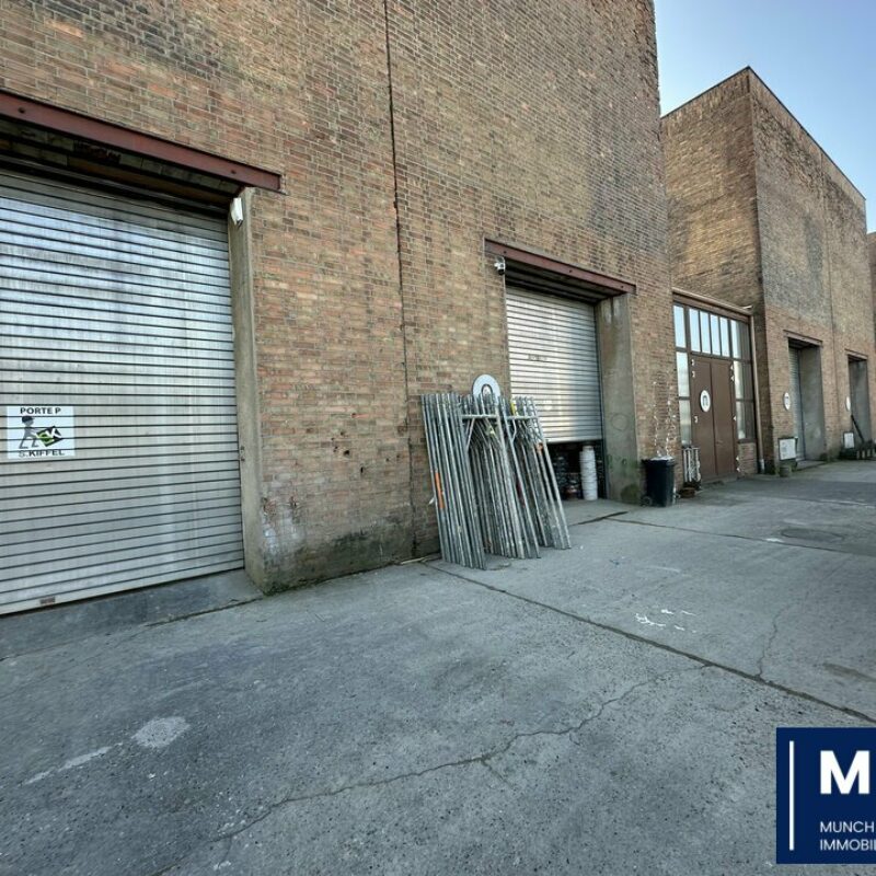 Location - 250 m² - STRASBOURG - 1