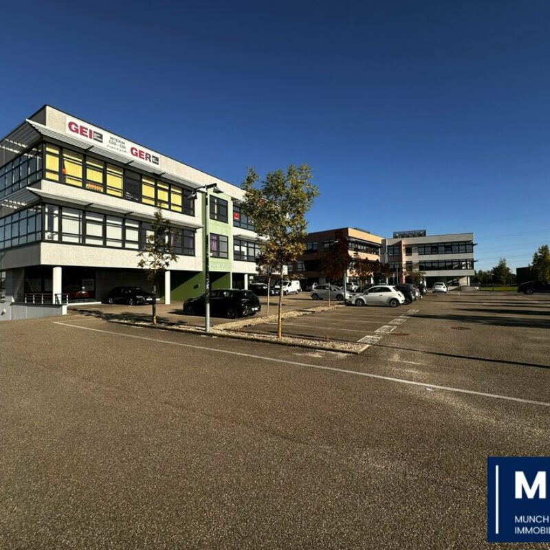 Vente - 460 m² - MOLSHEIM - 1
