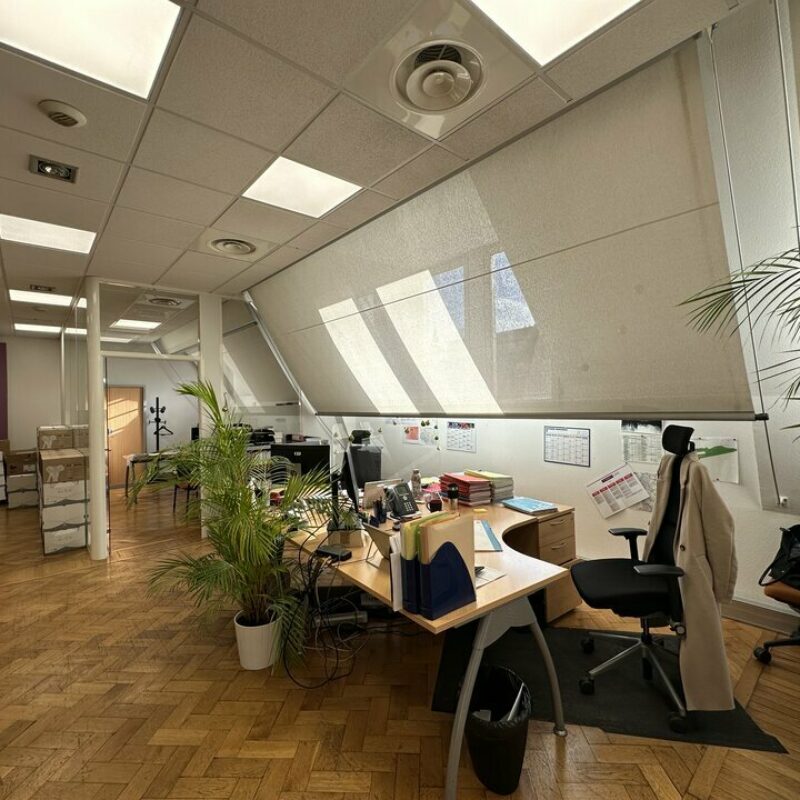 Location - 460 m² - STRASBOURG - 4