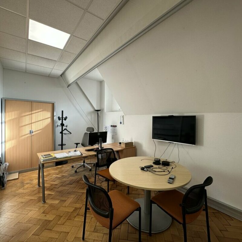 Location - 460 m² - STRASBOURG - 3