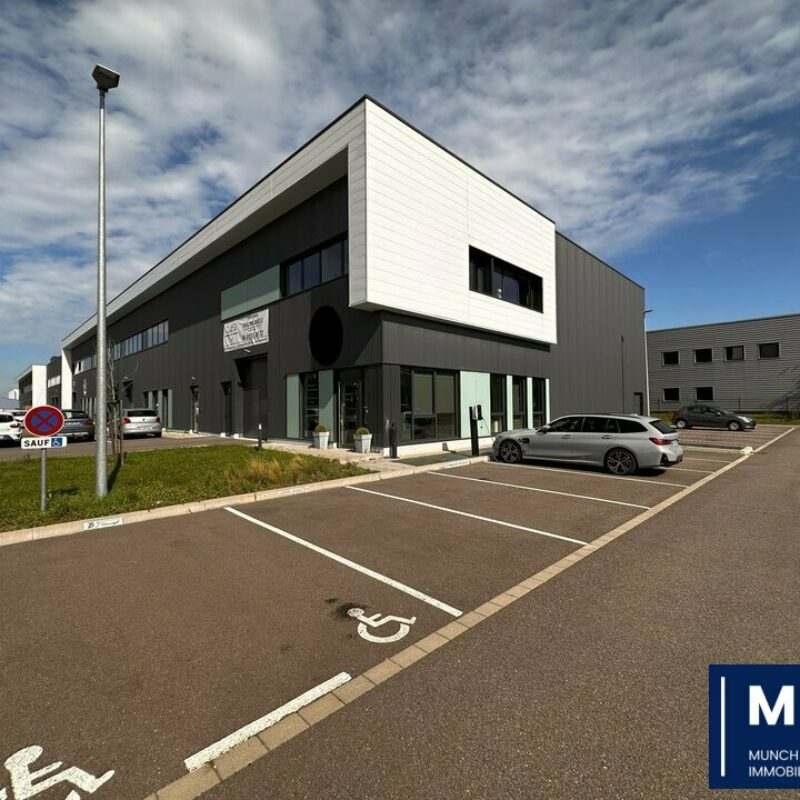 Vente - 205 m² - OSTWALD - 2