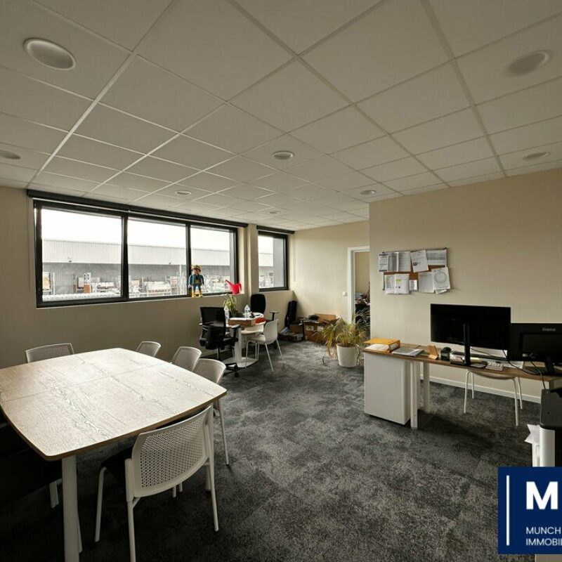 Vente - 205 m² - OSTWALD - 1