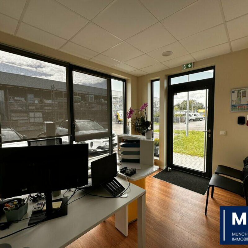 Vente - 205 m² - OSTWALD - 1