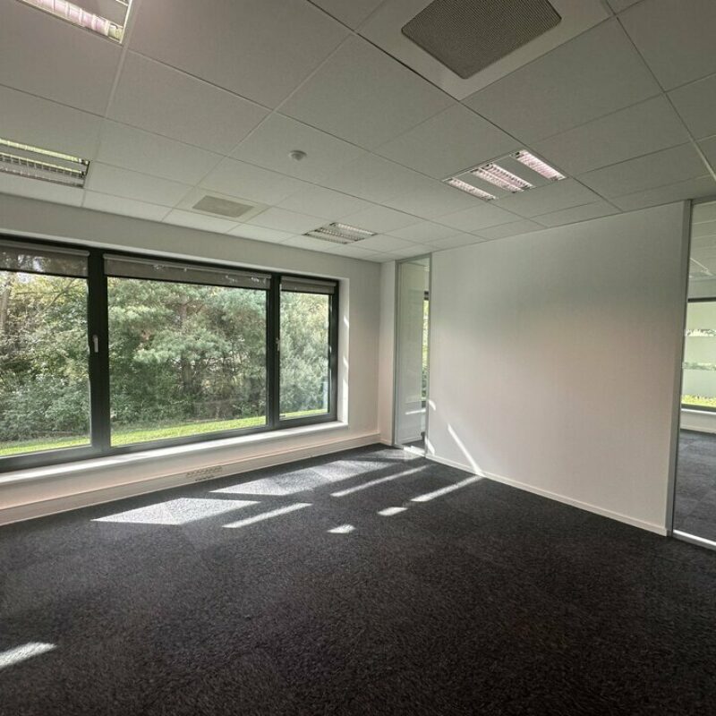 Location - 268 m² - SCHILTIGHEIM - 4