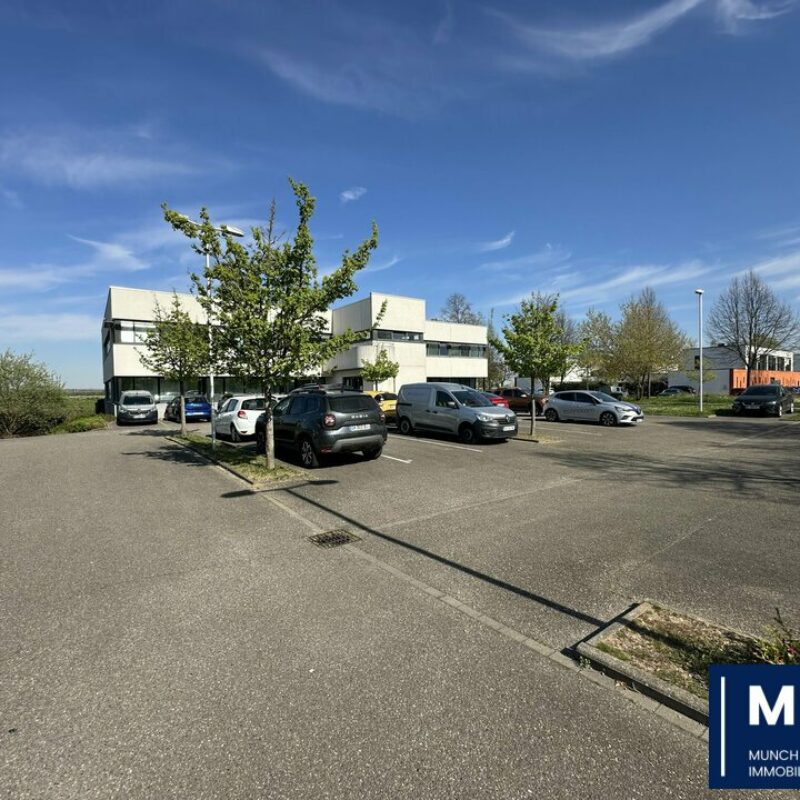 Location - 526.6 m² - ENTZHEIM - 1