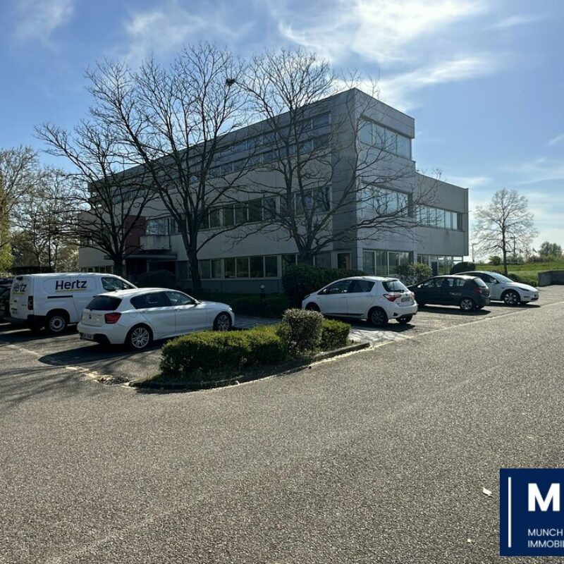 Vente - 511.32 m² - ENTZHEIM - 1