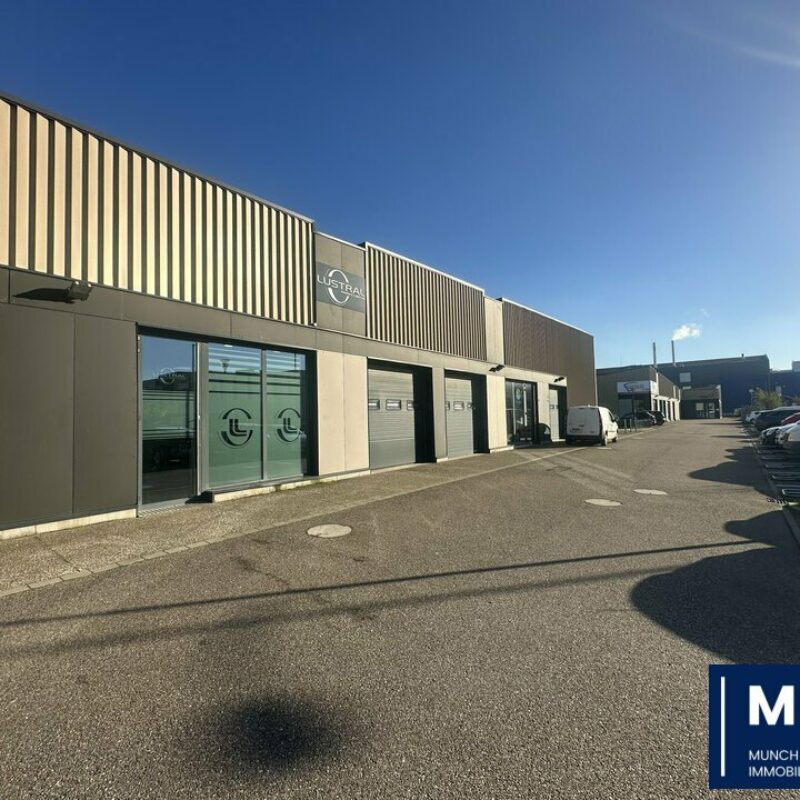 Location - 143.3 m² - STRASBOURG - 1