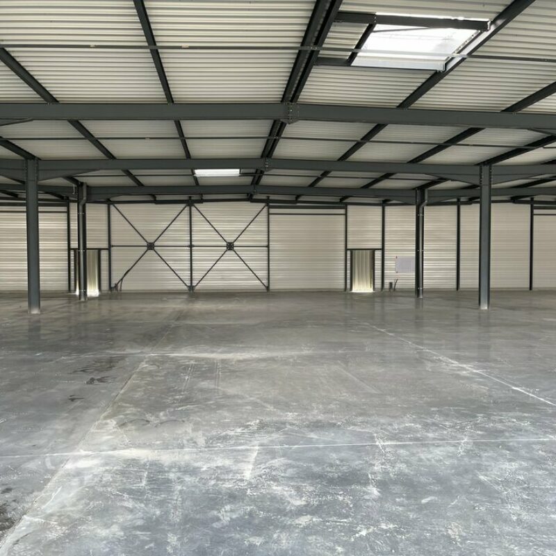 Location - 1266 m² - BENNWIHR - 4