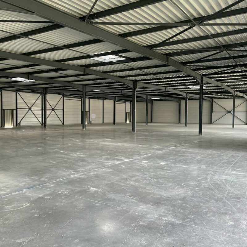 Vente - 1266 m² - BENNWIHR - 3