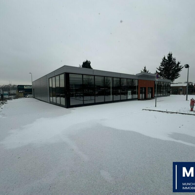 Location - 650 m² - HAGUENAU - 1