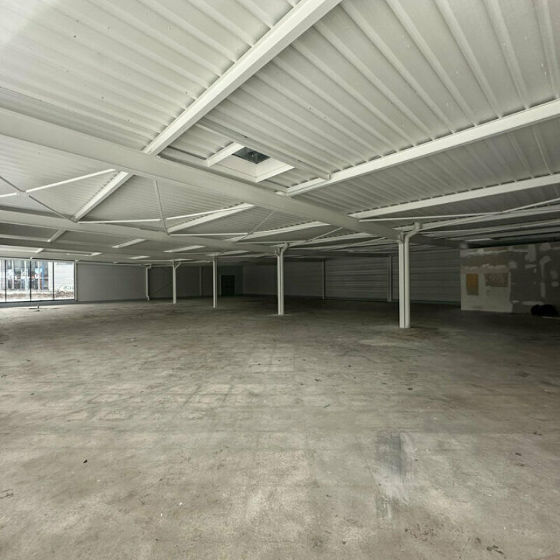 Location - 650 m² - HAGUENAU - 3