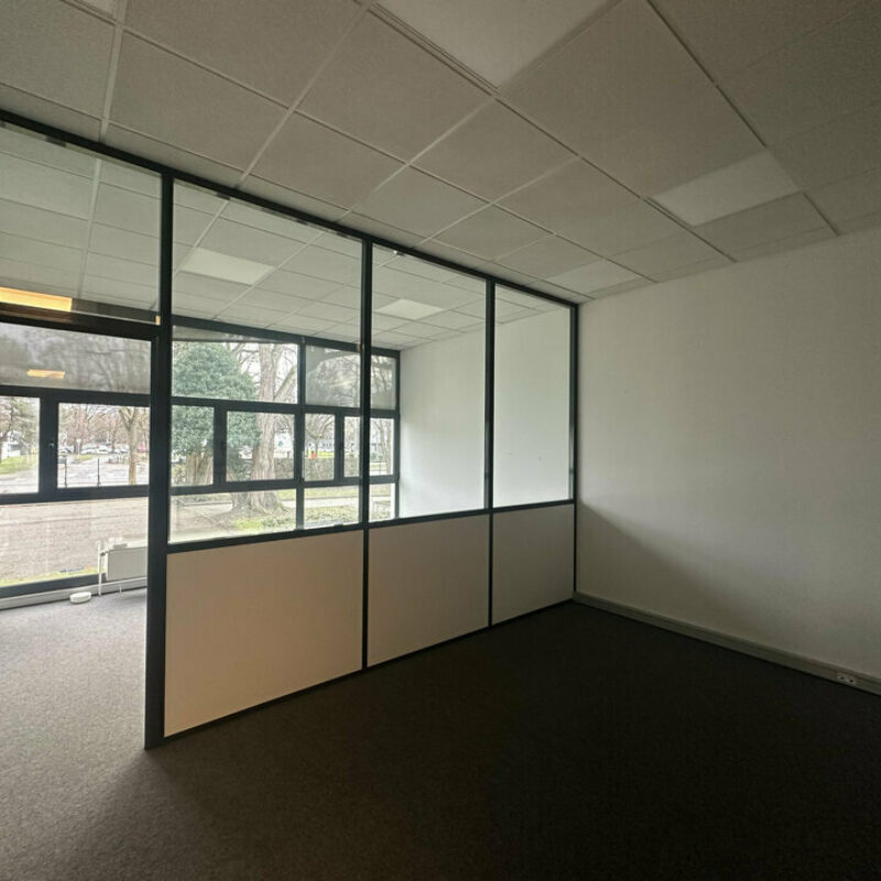 Location - 487 m² - ILLKIRCH-GRAFFENSTADEN - 3