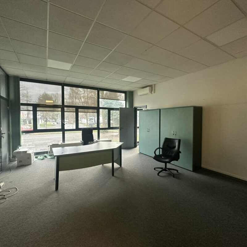 Location - 487 m² - ILLKIRCH-GRAFFENSTADEN - 2