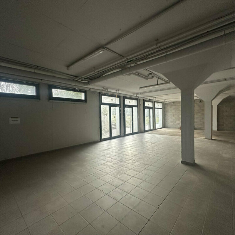 Location - 487 m² - ILLKIRCH-GRAFFENSTADEN - 5