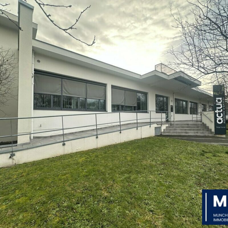 Location - 487 m² - ILLKIRCH-GRAFFENSTADEN - 1