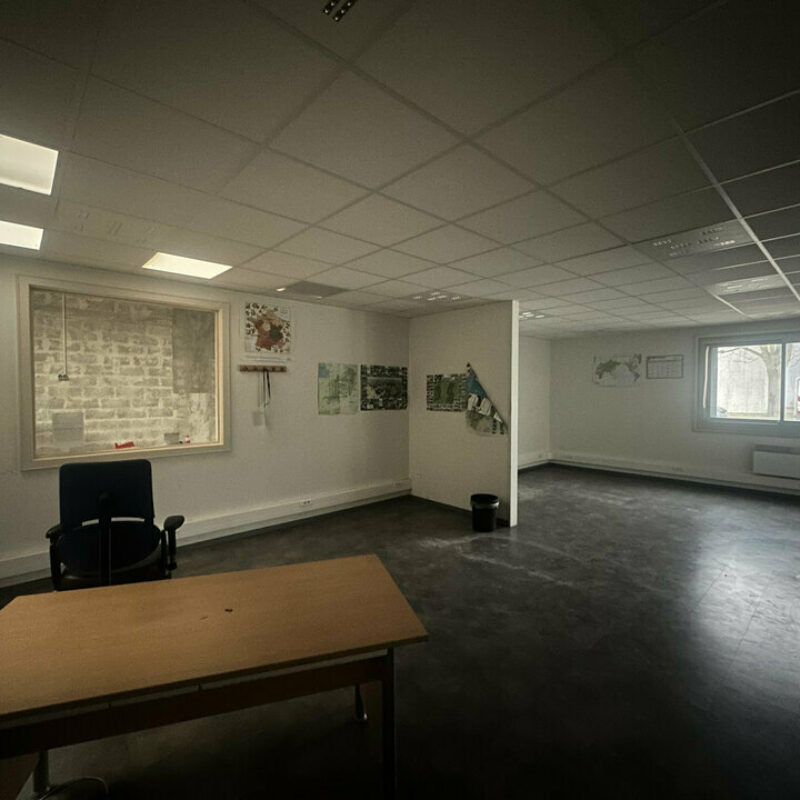 Location - 320 m² - SCHILTIGHEIM - 5