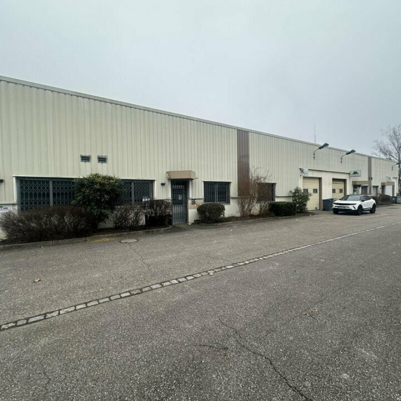 Location - 320 m² - SCHILTIGHEIM - 2