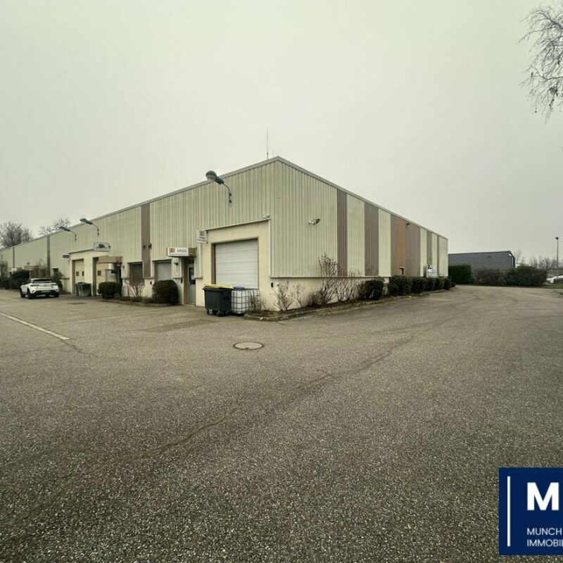 Location - 320 m² - SCHILTIGHEIM - 1