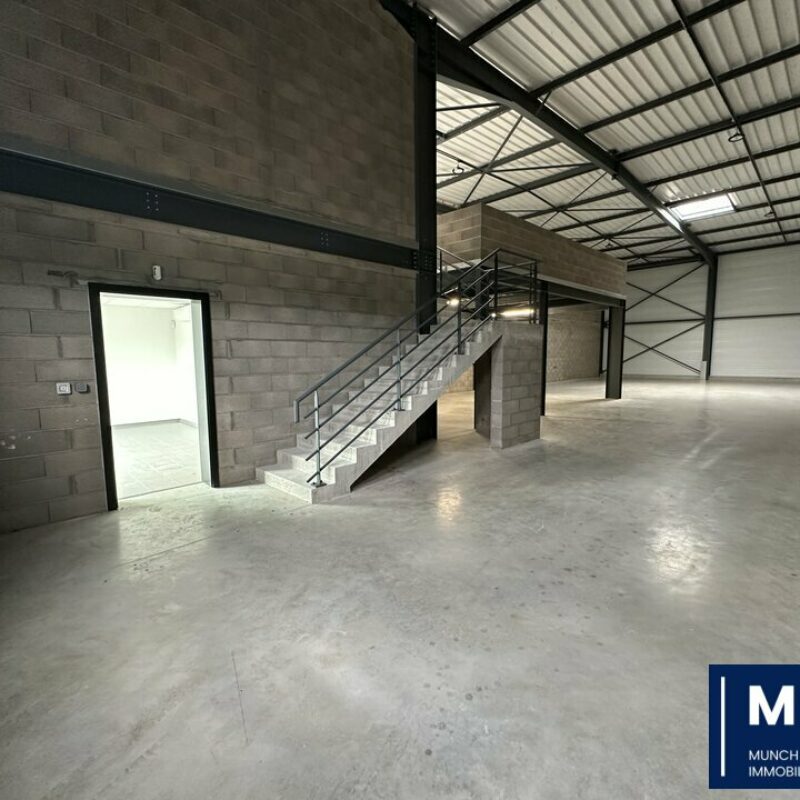 Vente - 781 m² - SOUFFELWEYERSHEIM - 2